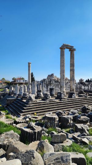 Kusadasi to Priene, Miletos and Didyma Private Tour